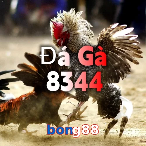 bong88