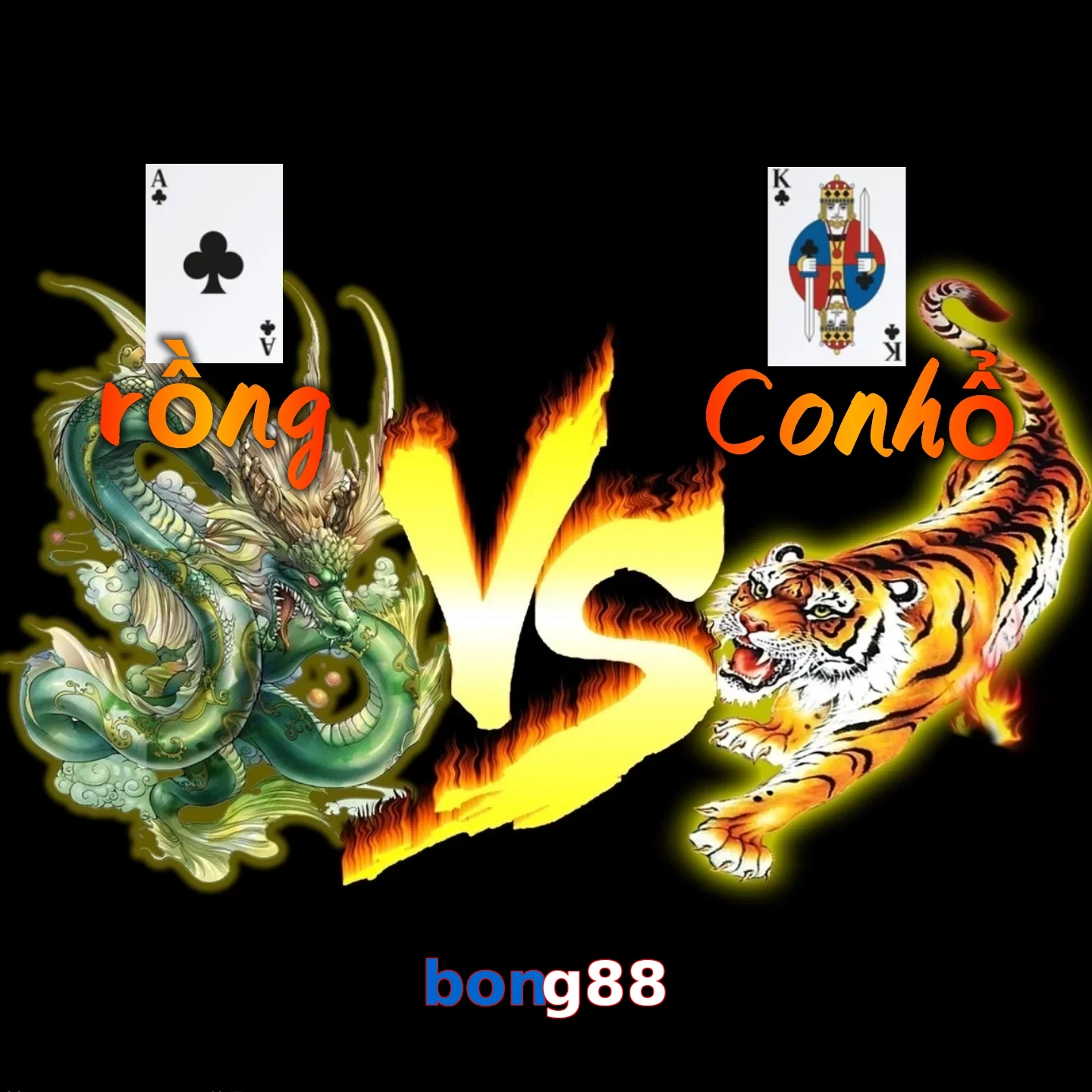 bong88